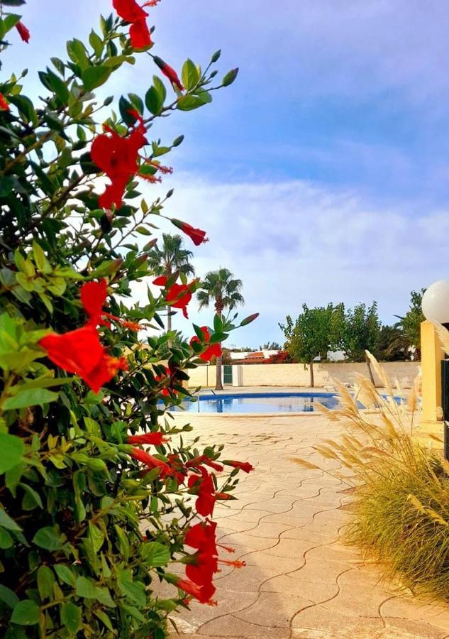 Apartamento Con Piscina En Ciudadela, Cala En Blanes Lejlighed Cala'N Blanes  Eksteriør billede
